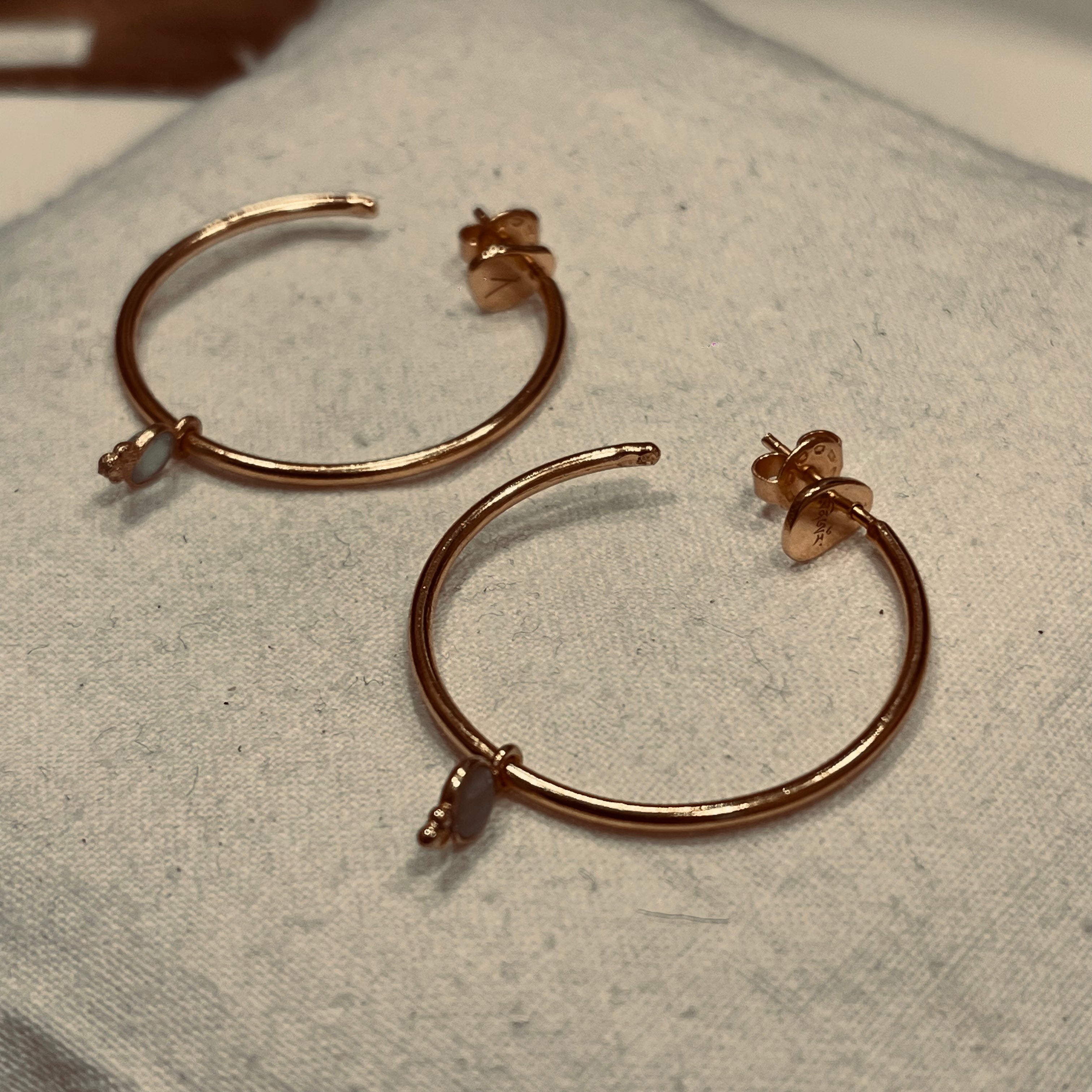 Boucles d’oreilles précieux